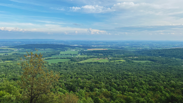 Krajobraz marketingu B2B z perspektywy klienta biznesowego