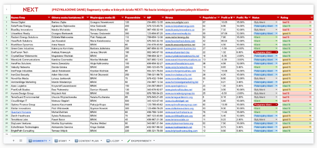 Strategia marketingowa wymierzona w klienta biznesowego - segmentacja rynku